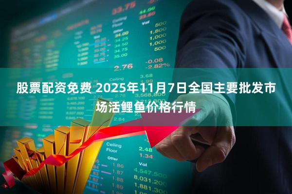 股票配资免费 2025年11月7日全国主要批发市场活鲤鱼价格行情