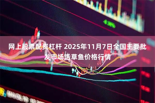 网上股票配资杠杆 2025年11月7日全国主要批发市场活草鱼价格行情
